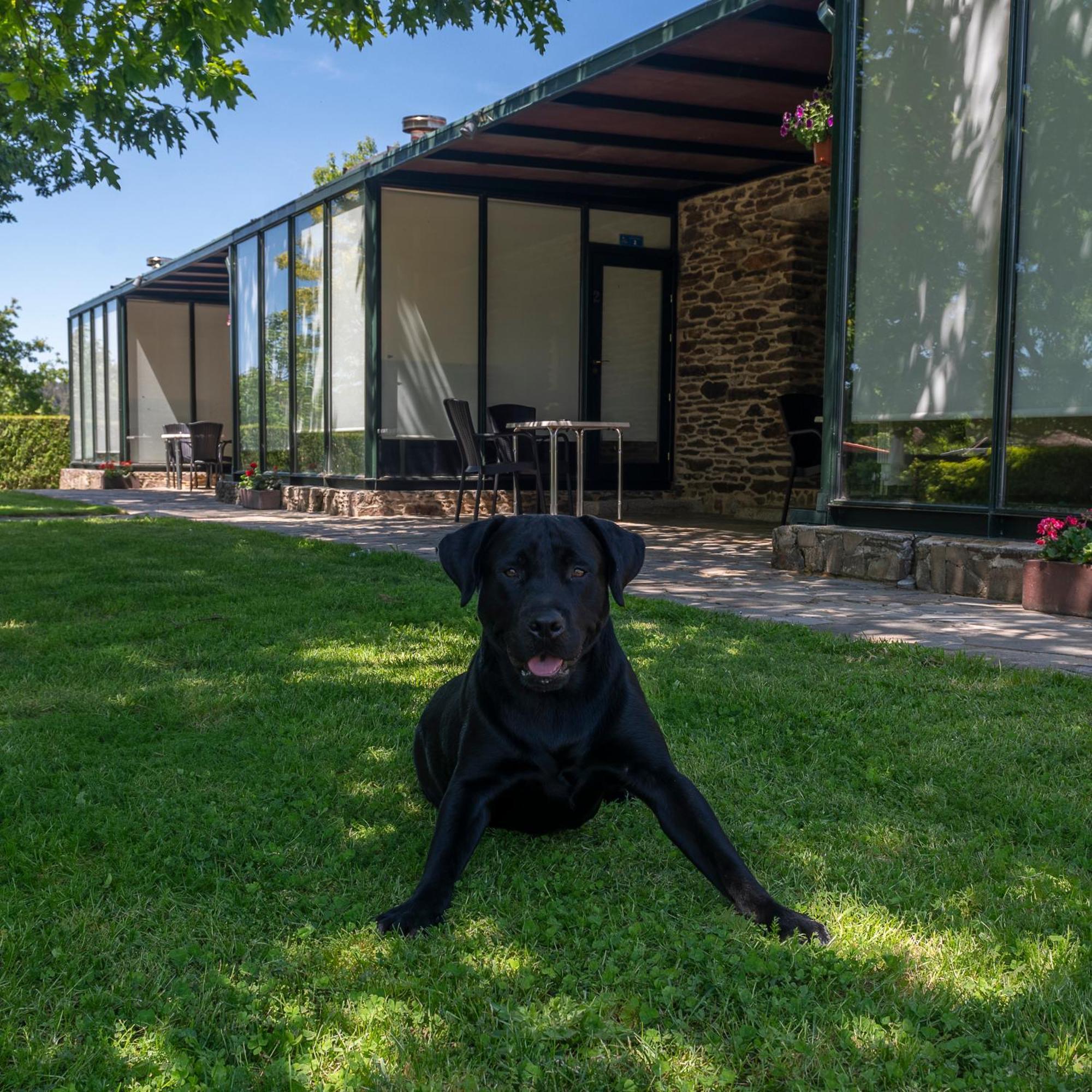 Alojamientos Rurales O Acivro A Rúa Exteriér fotografie